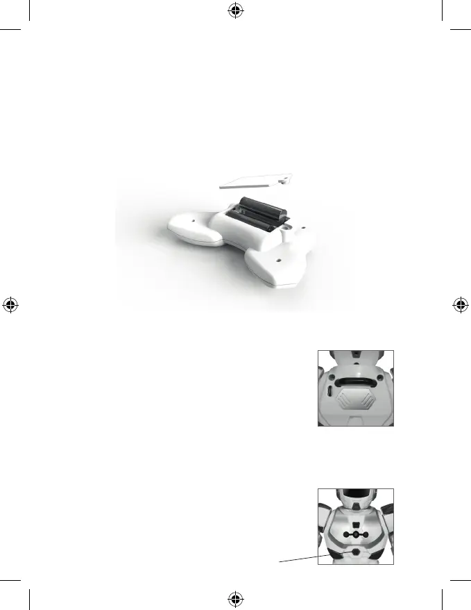 Page #13 background image