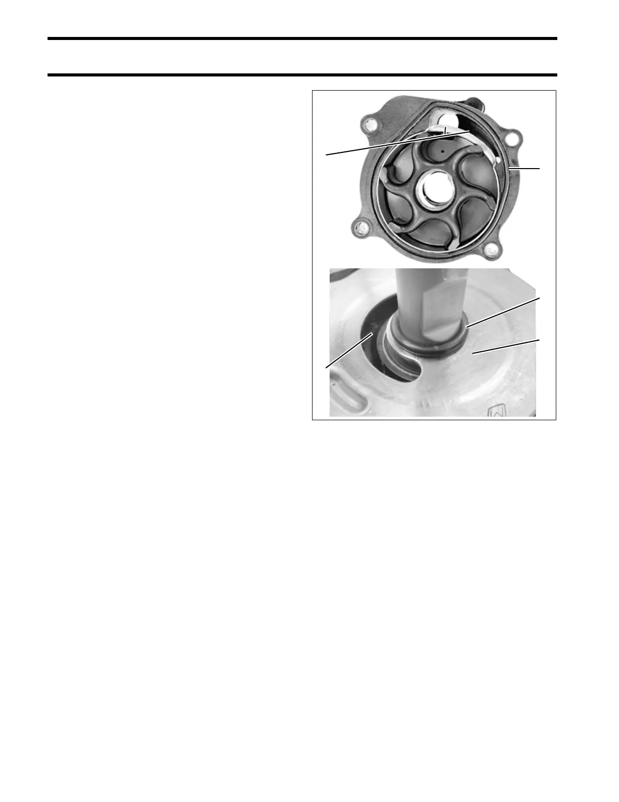 Page #232 background image