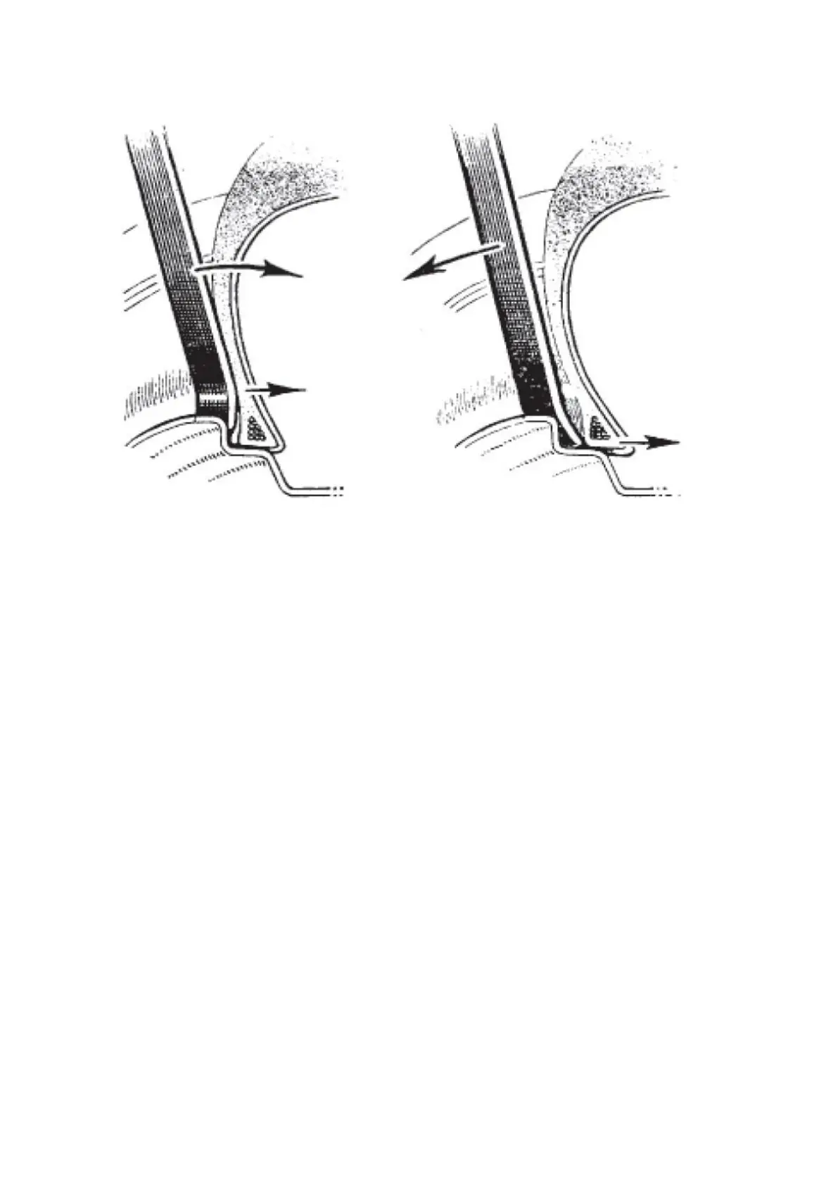 Page #230 background image