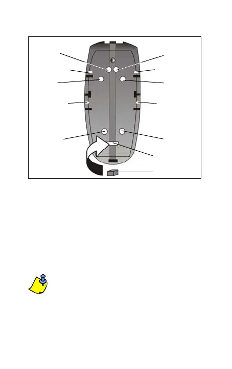 Page #32 background image