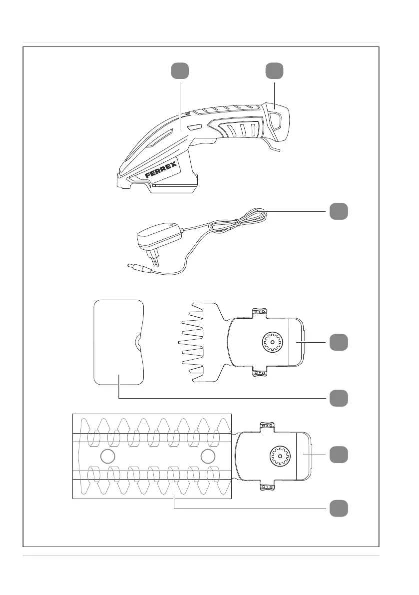 Page #2 background image