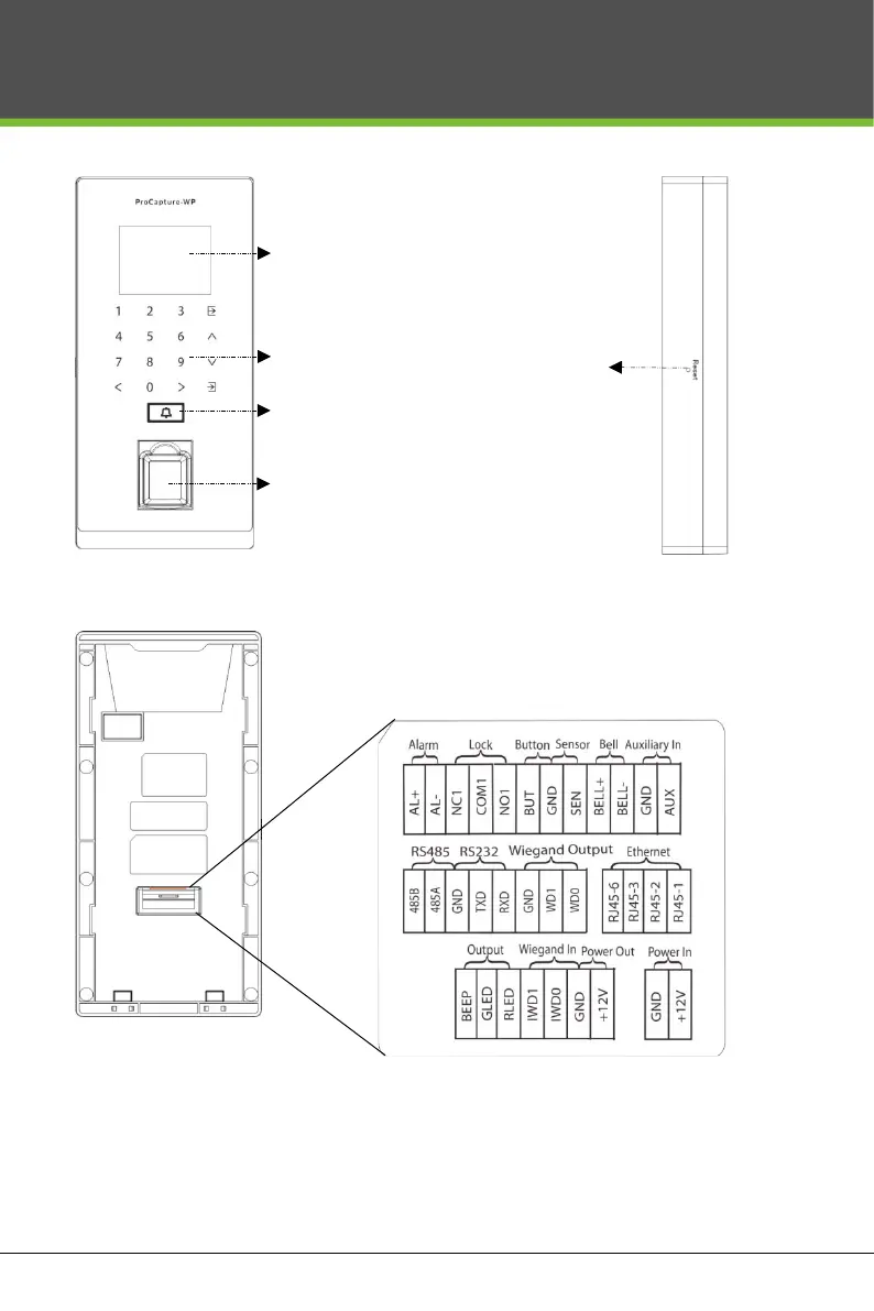Page #3 background image