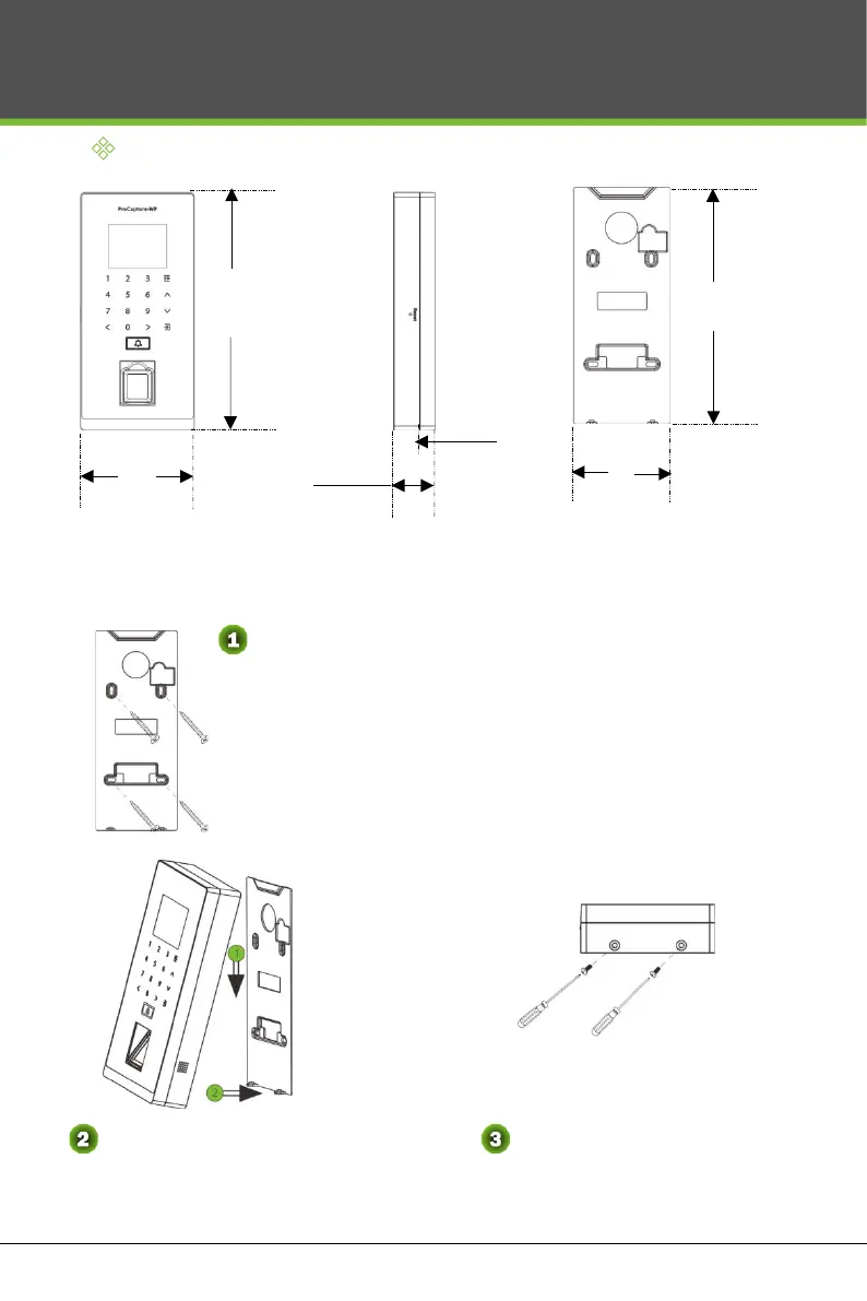 Page #4 background image