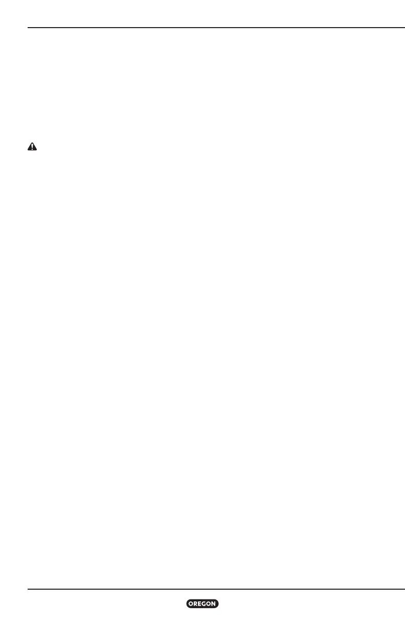 Page #209 background image