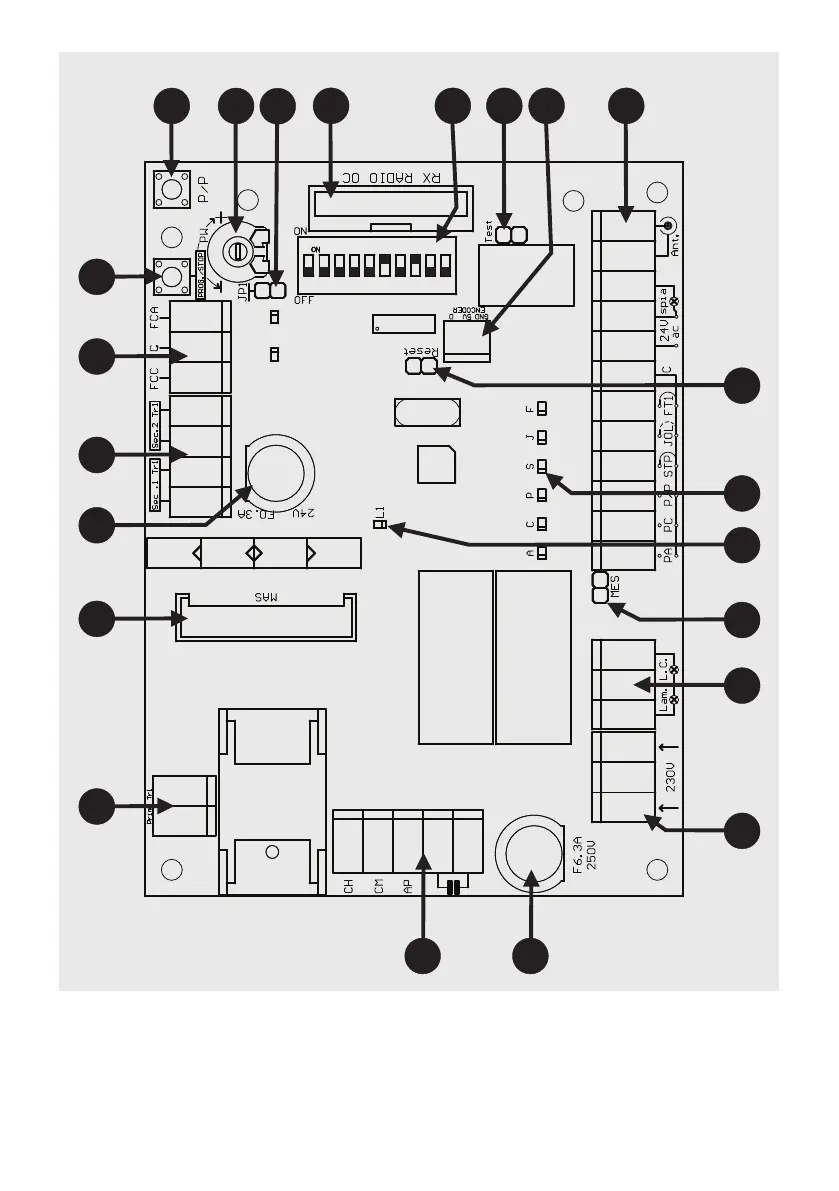 Page #2 background image