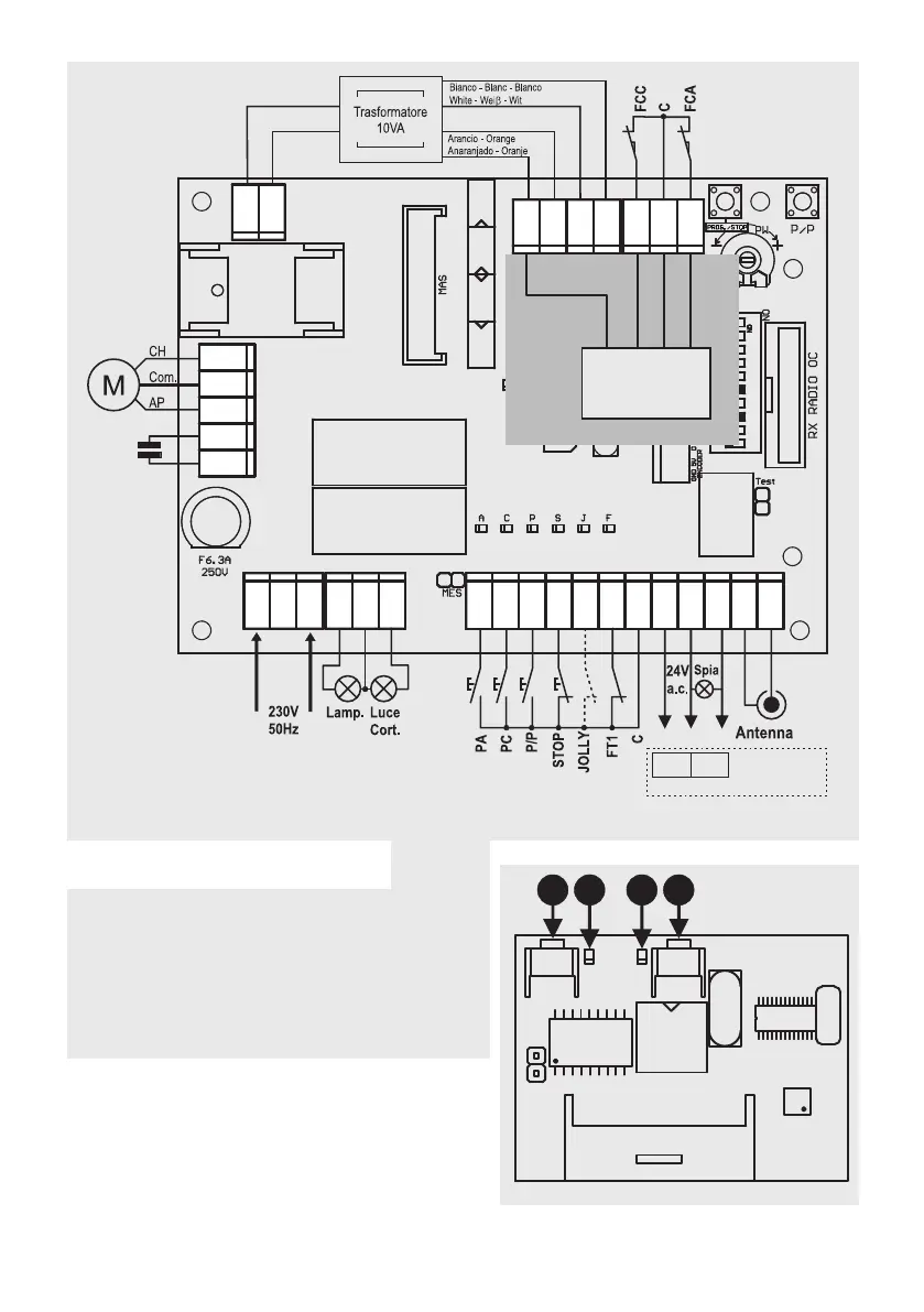 Page #3 background image