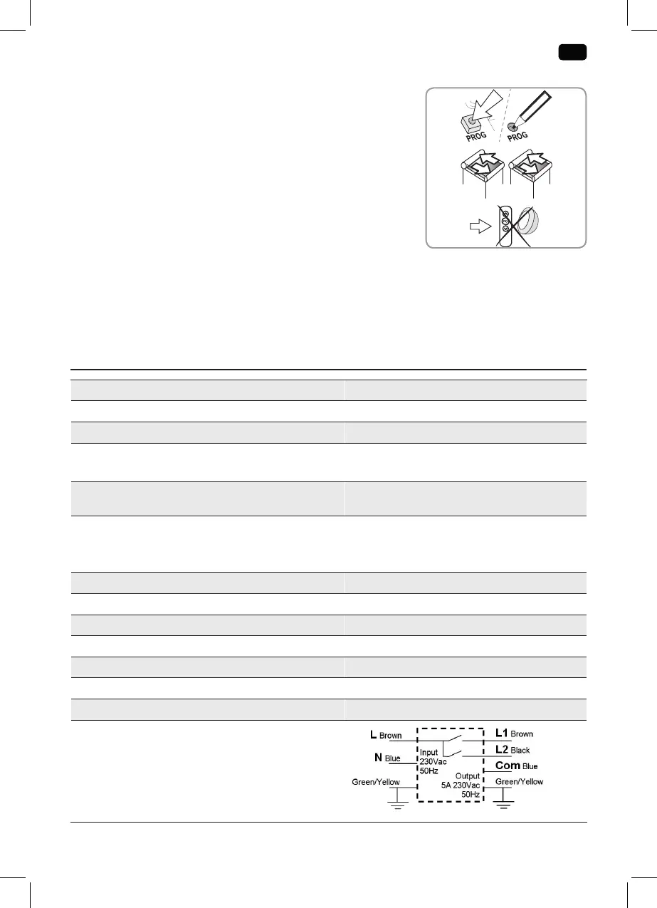 Page #21 background image