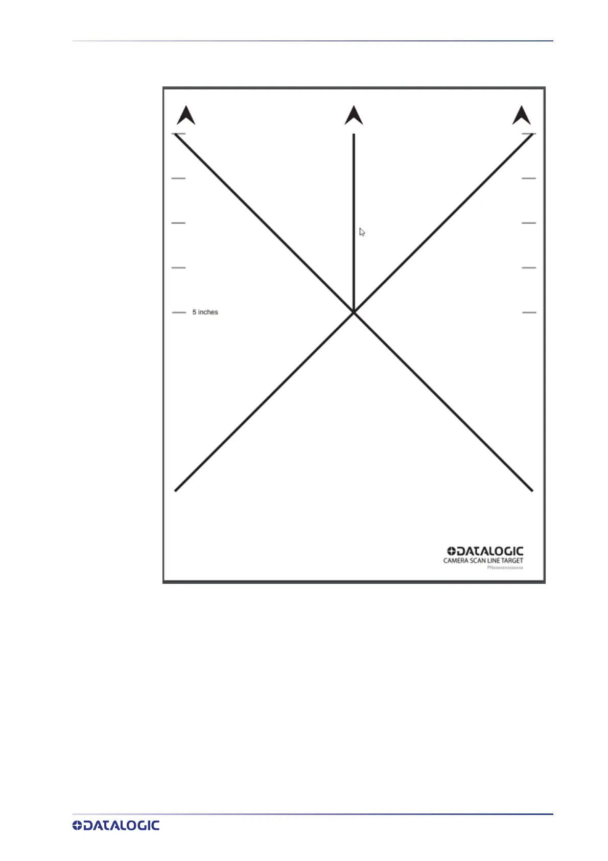Page #351 background image