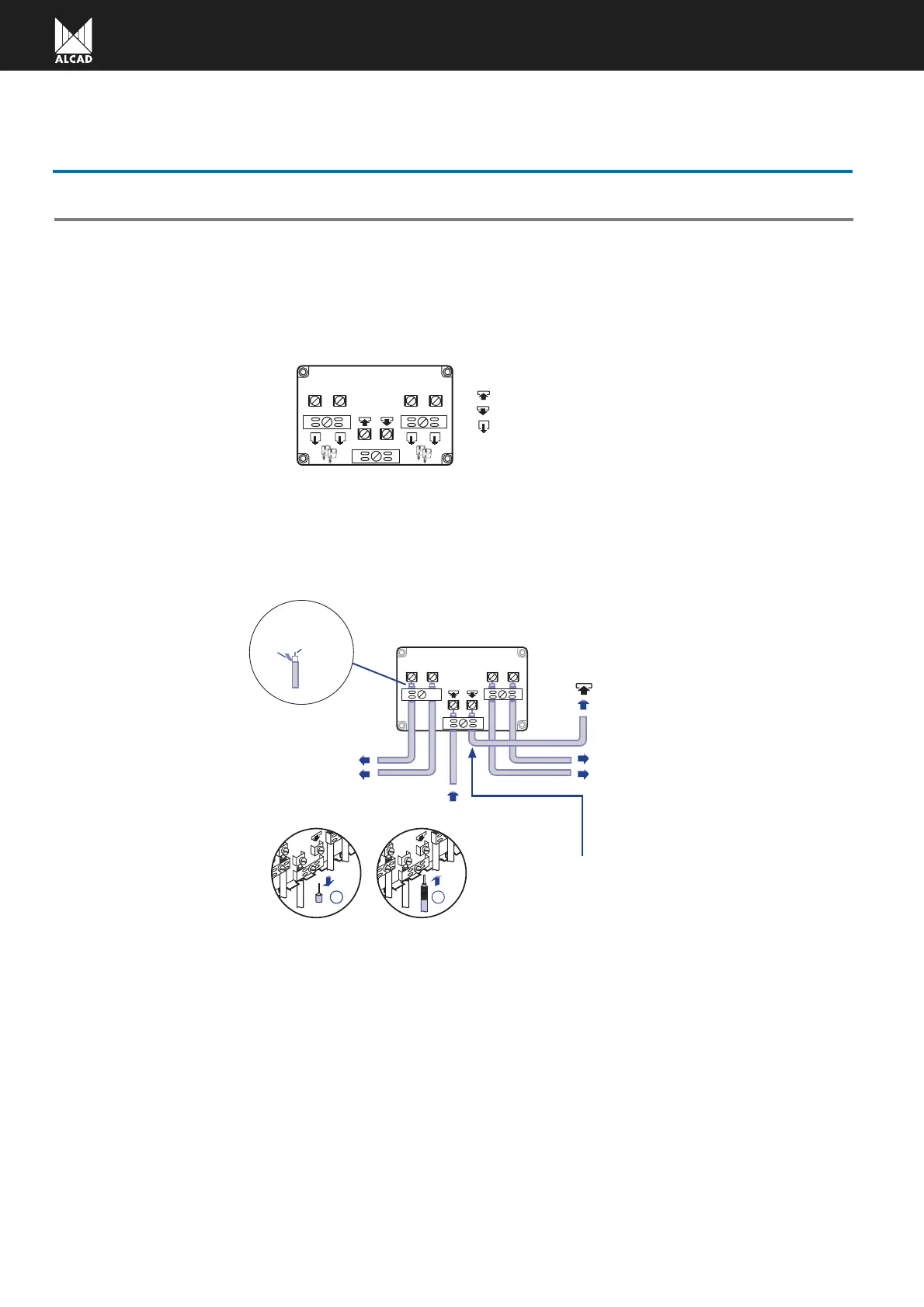 Page #58 background image
