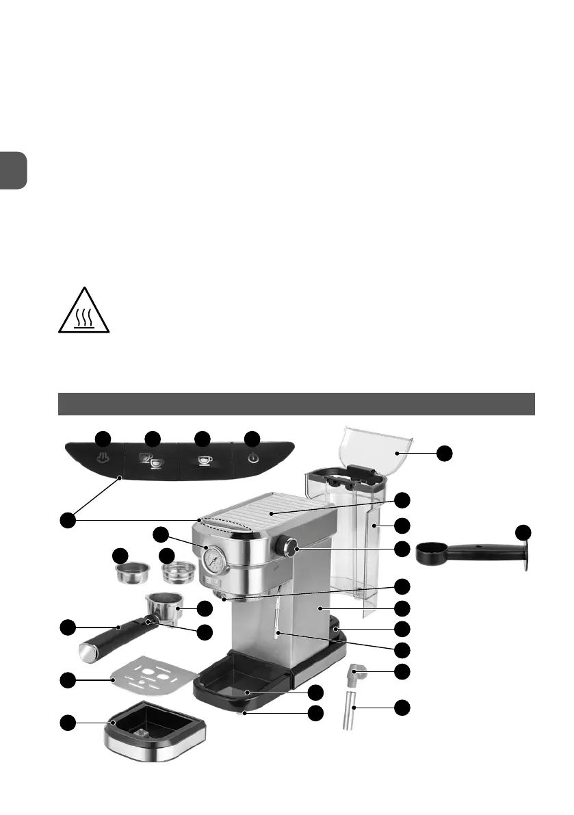 Page #4 background image