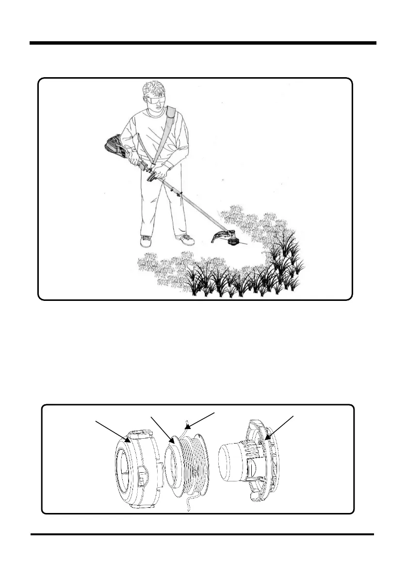 Page #13 background image