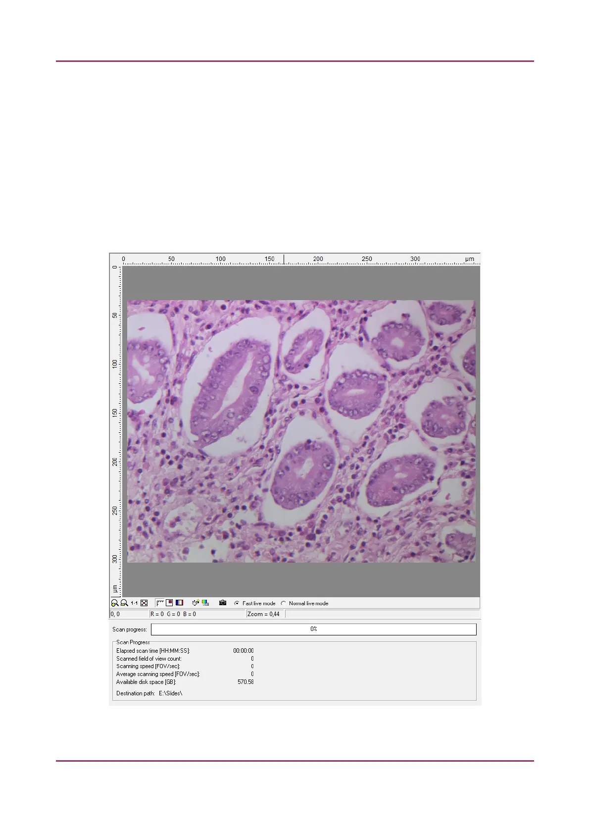 Page #61 background image