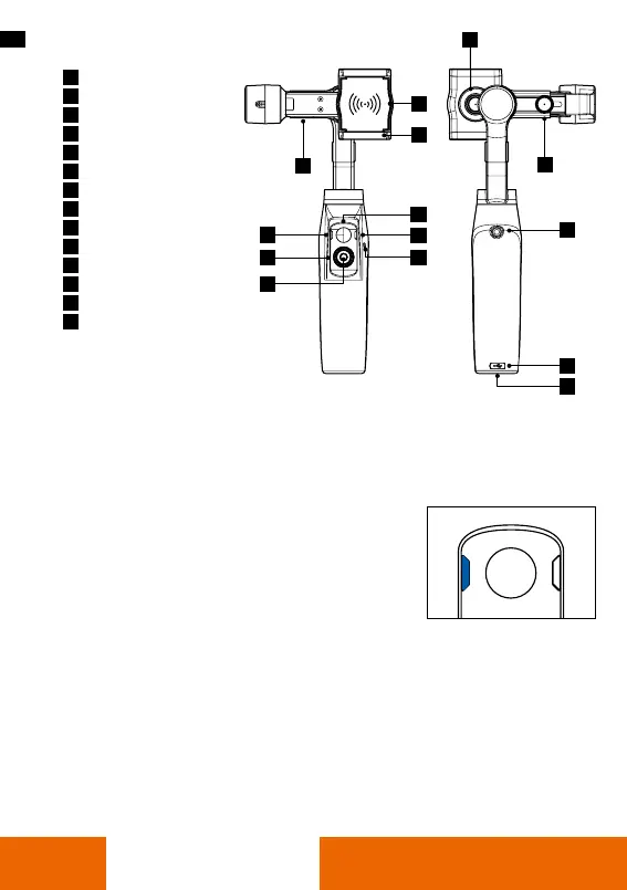 Page #38 background image