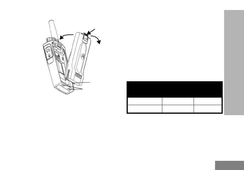 Page #13 background image