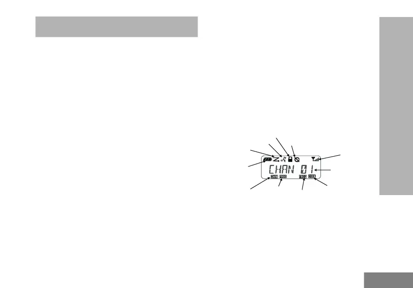 Page #279 background image