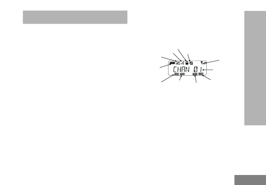 Page #345 background image
