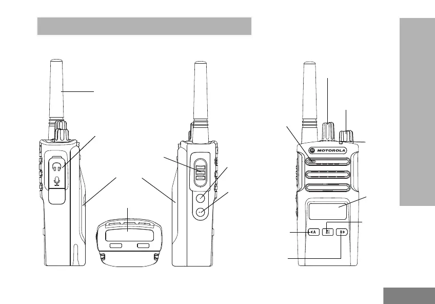 Page #399 background image