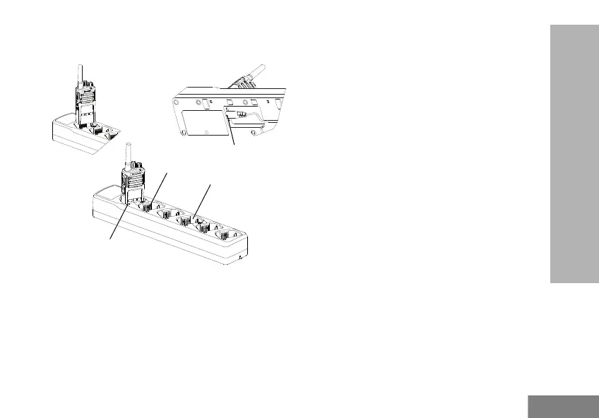 Page #539 background image