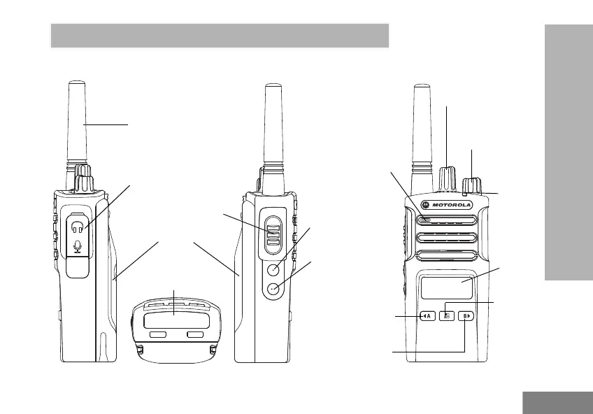 Page #921 background image