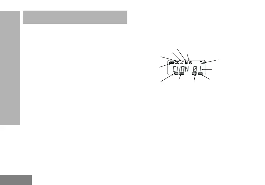 Page #216 background image