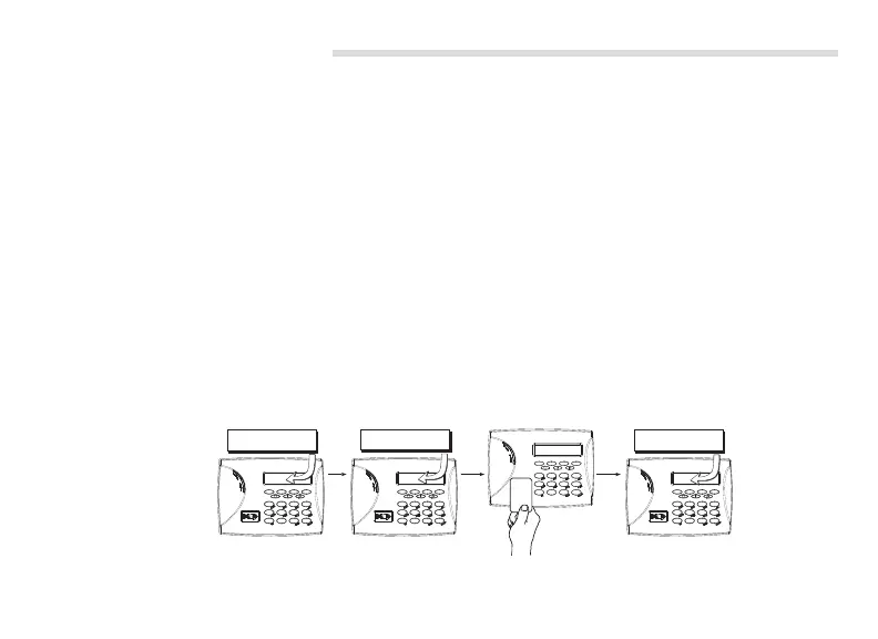 Page #29 background image