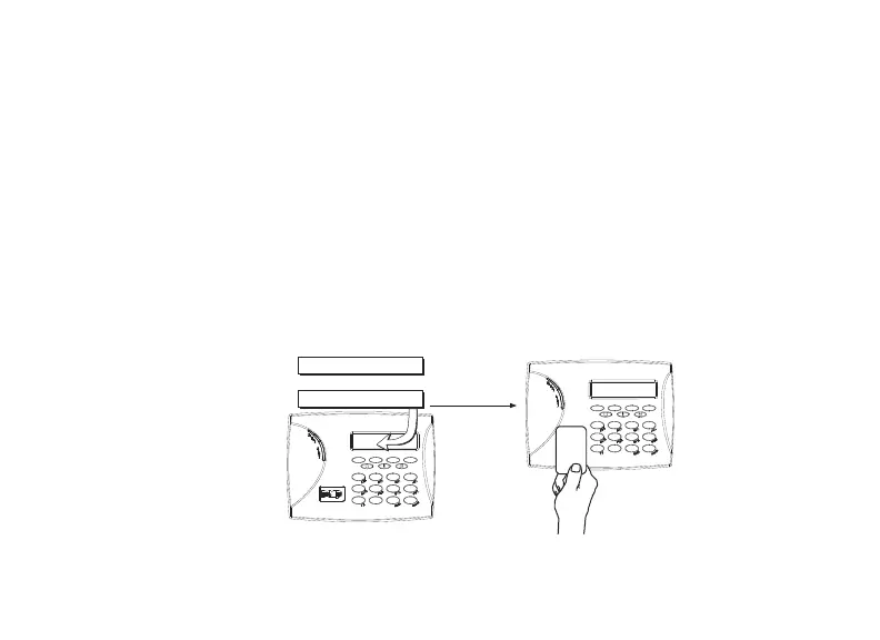 Page #30 background image