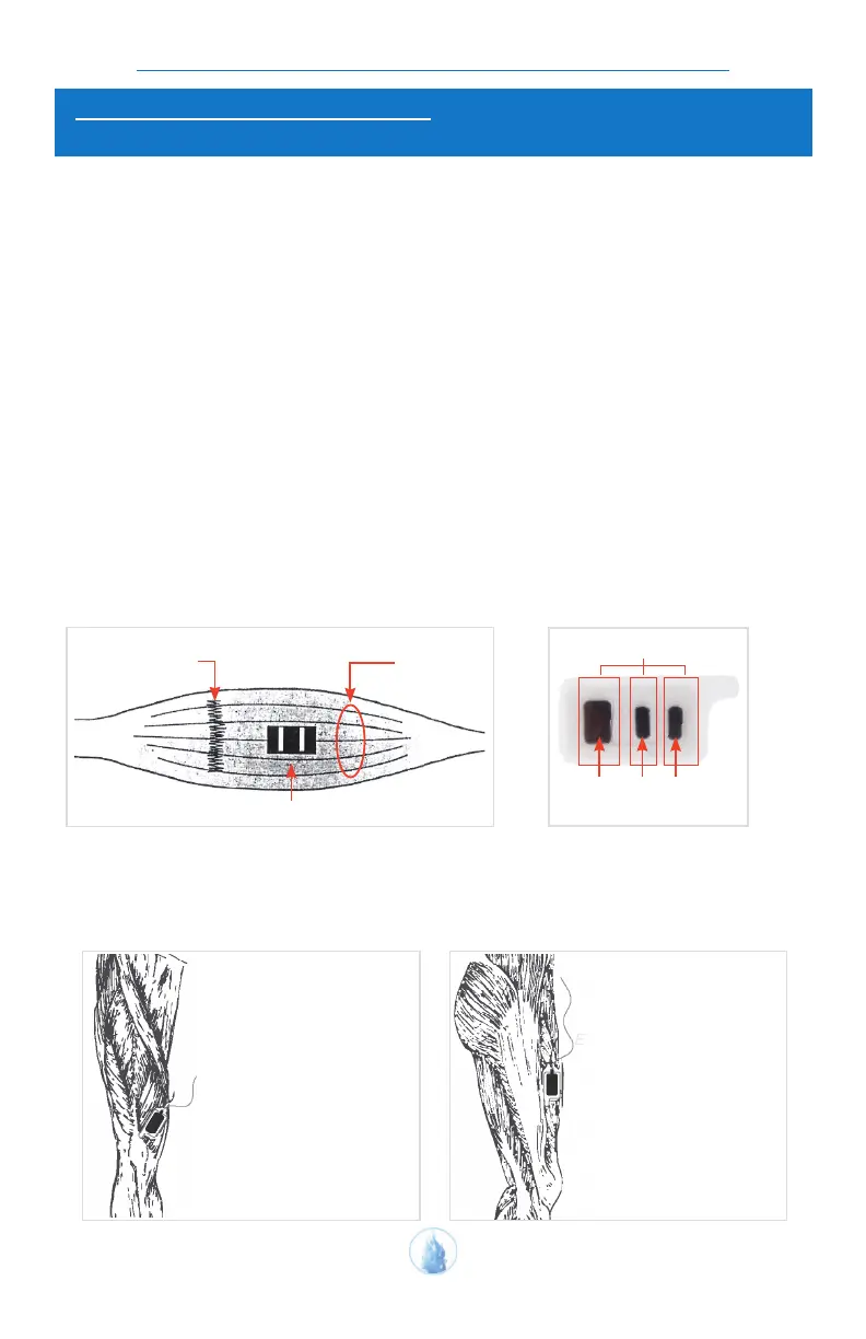 Page #19 background image