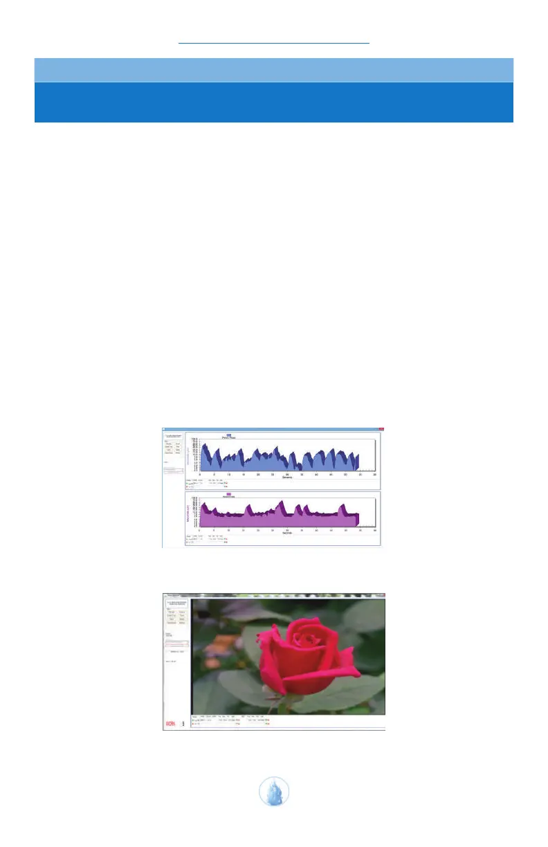 Page #44 background image