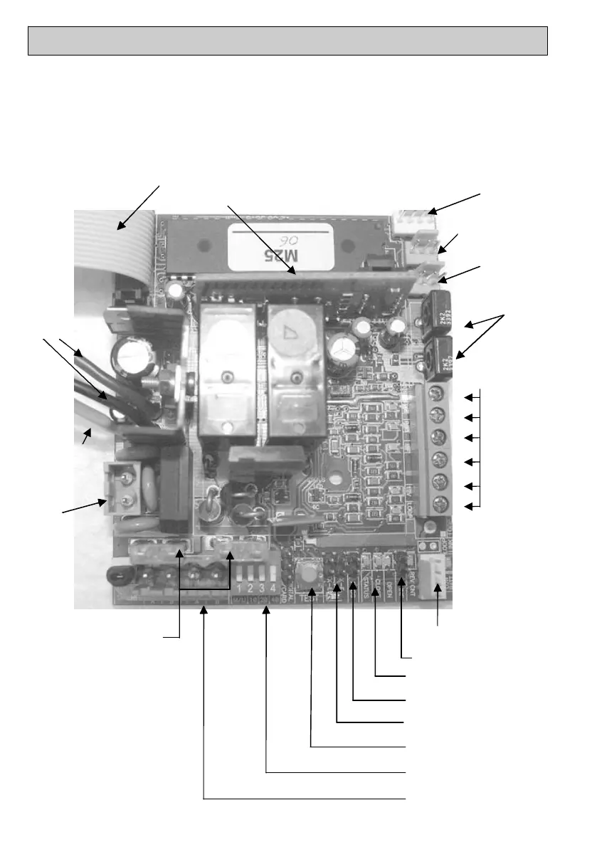 Page #15 background image