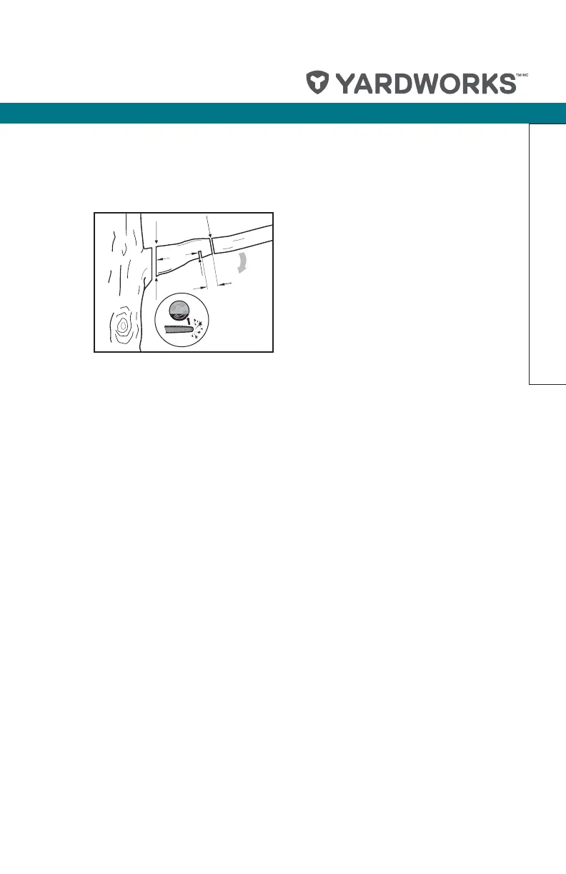 Page #29 background image