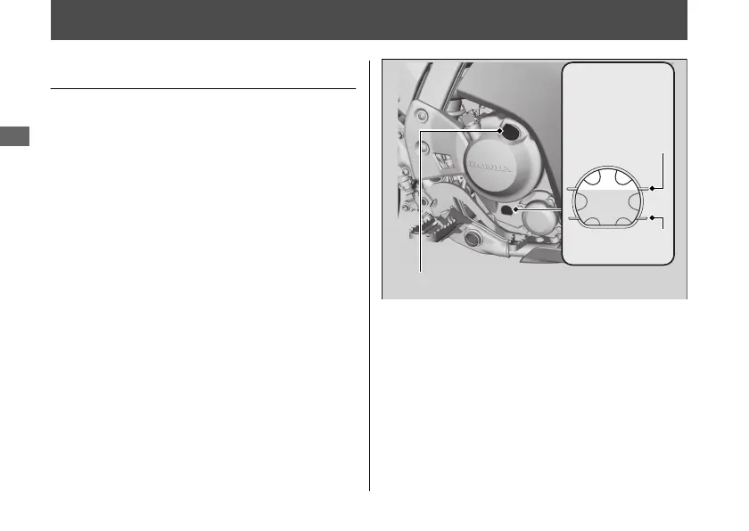 Page #66 background image