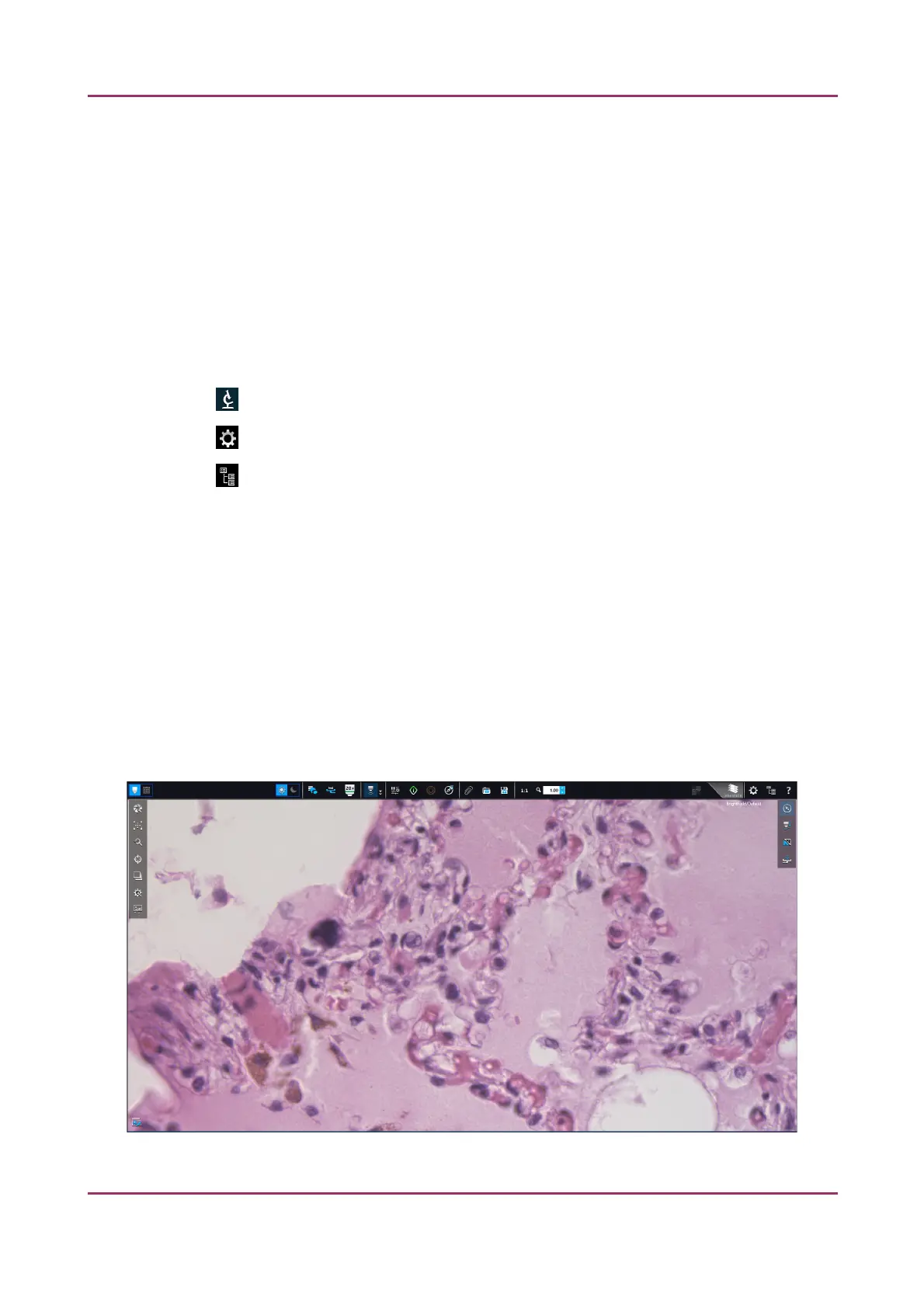 Page #52 background image