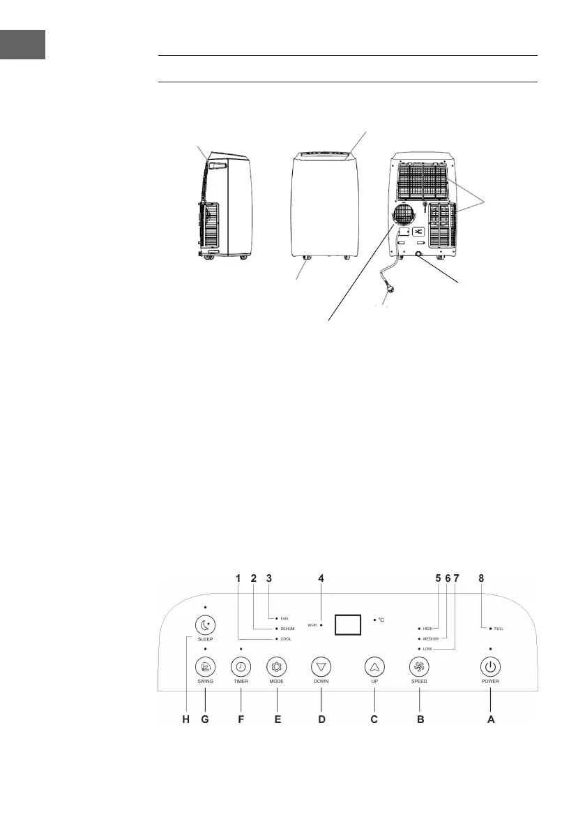 Page #6 background image