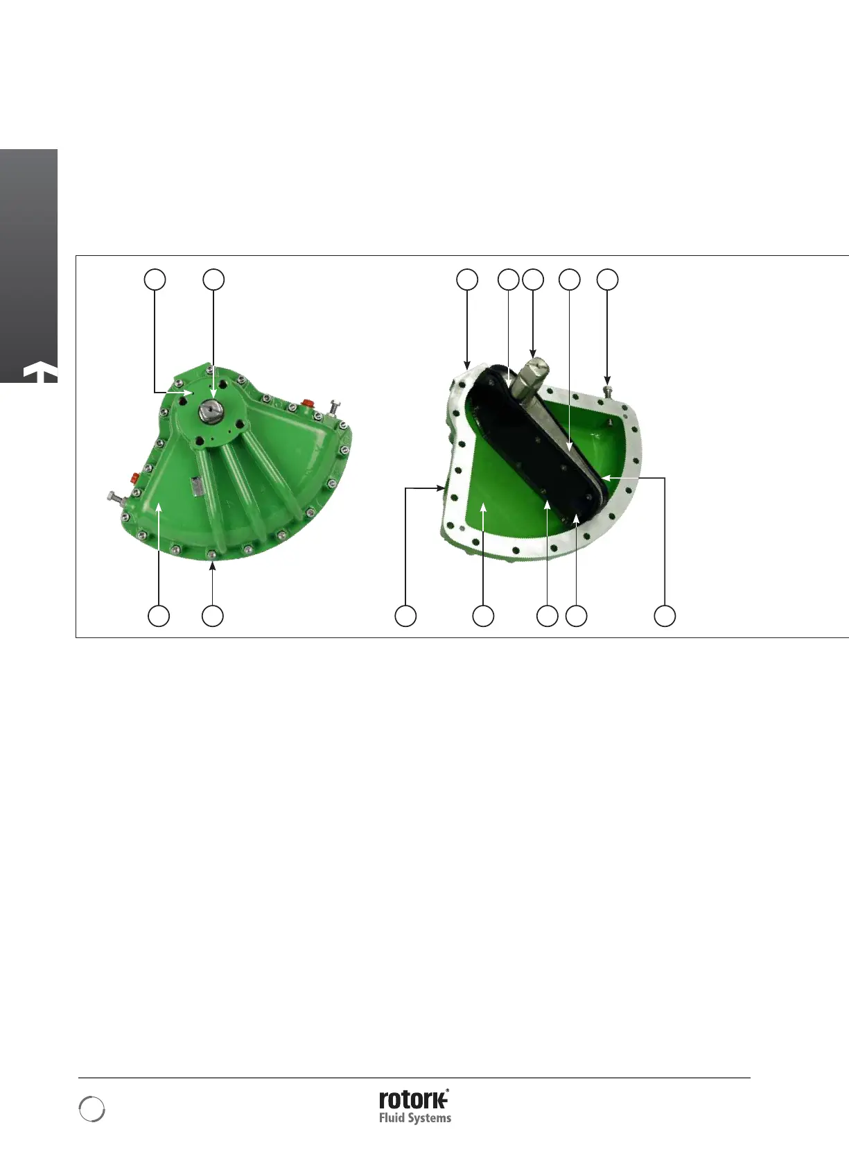 Page #10 background image