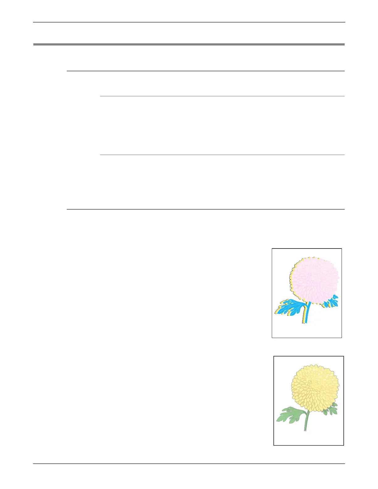 Page #350 background image