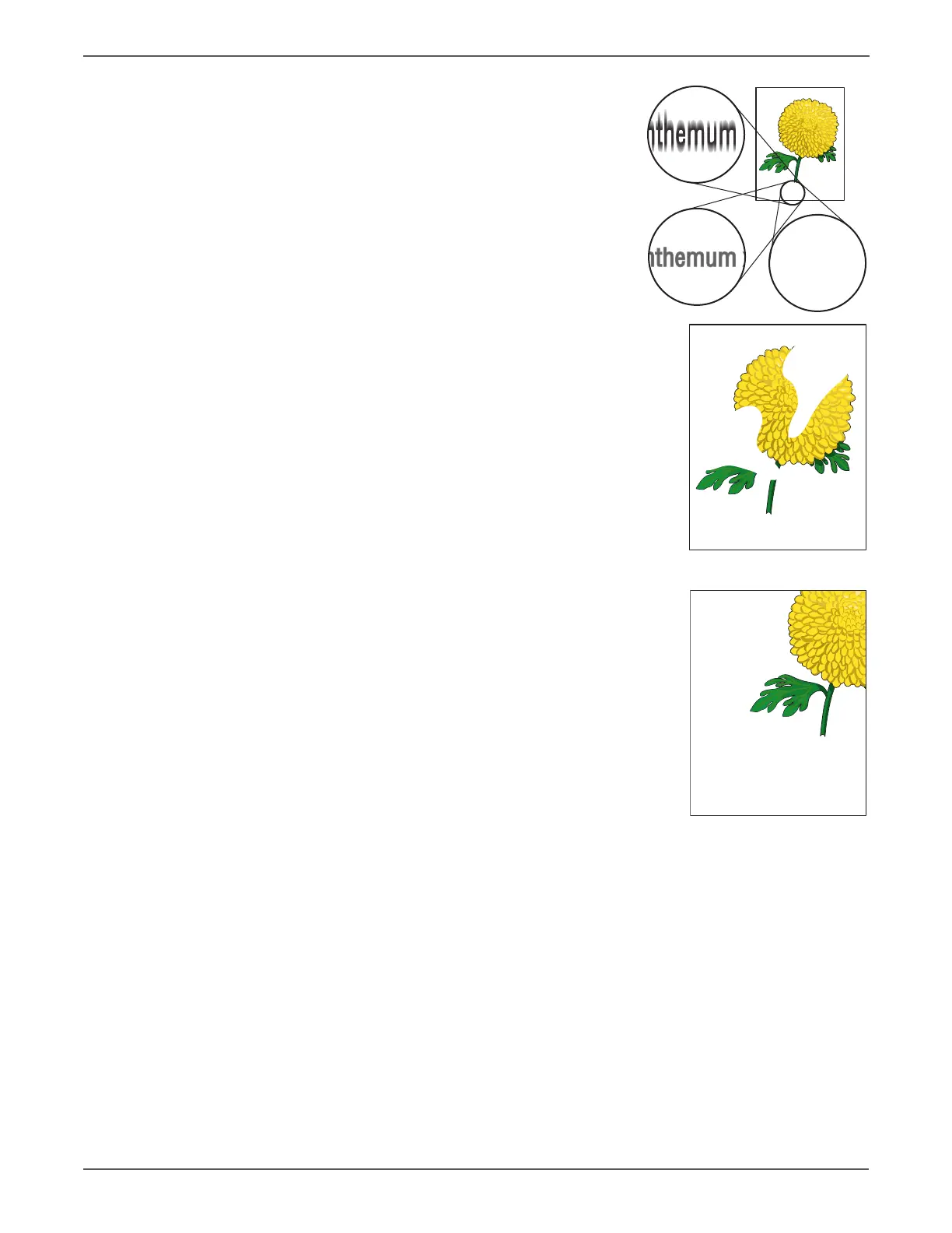 Page #352 background image