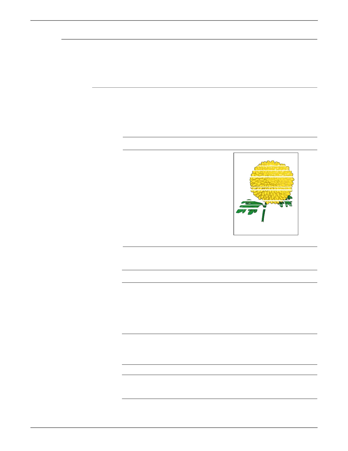 Page #364 background image