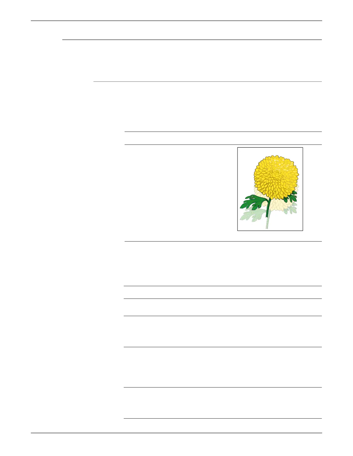 Page #375 background image