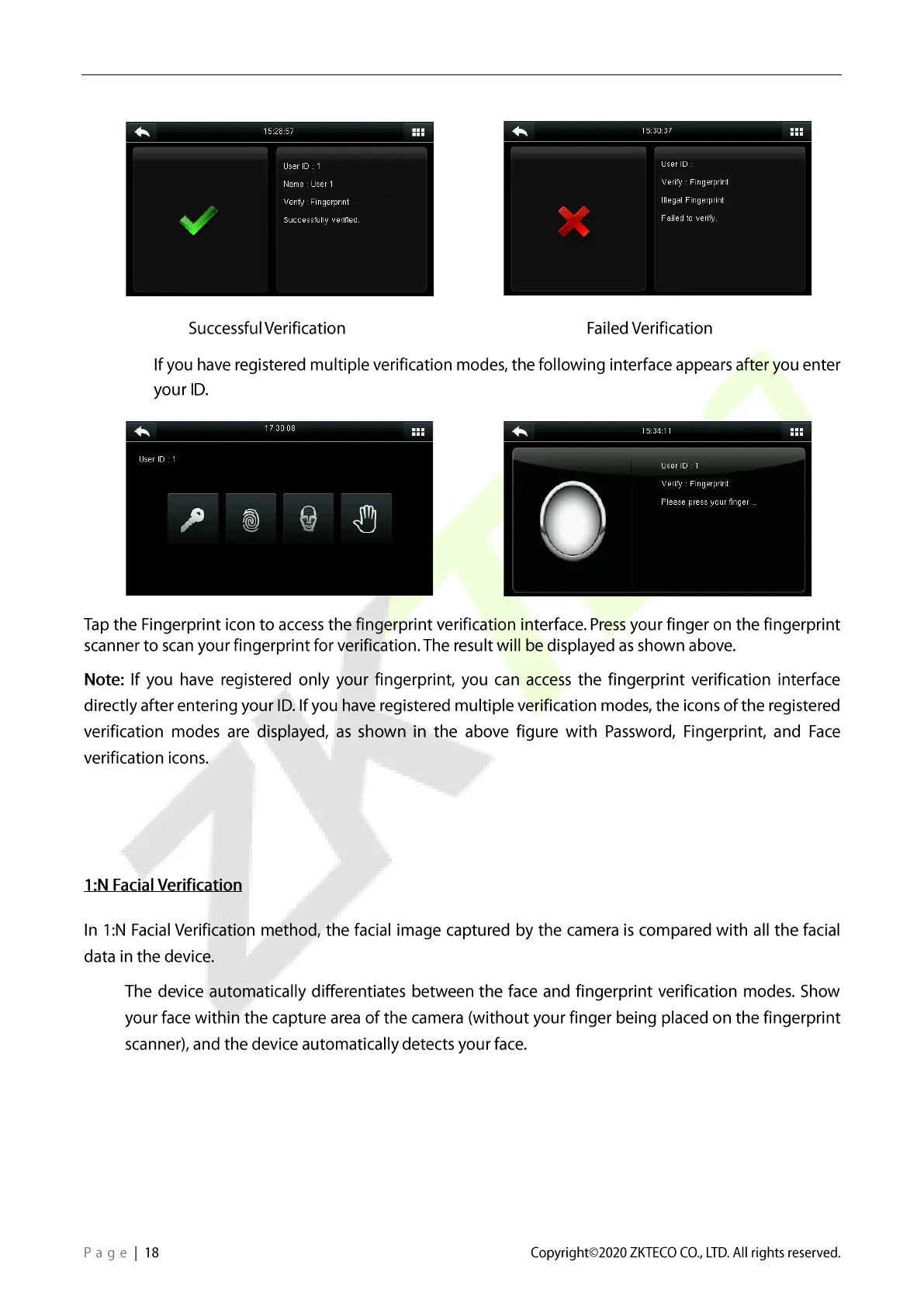 Page #19 background image