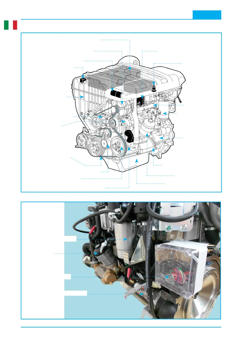 Page #10 background image