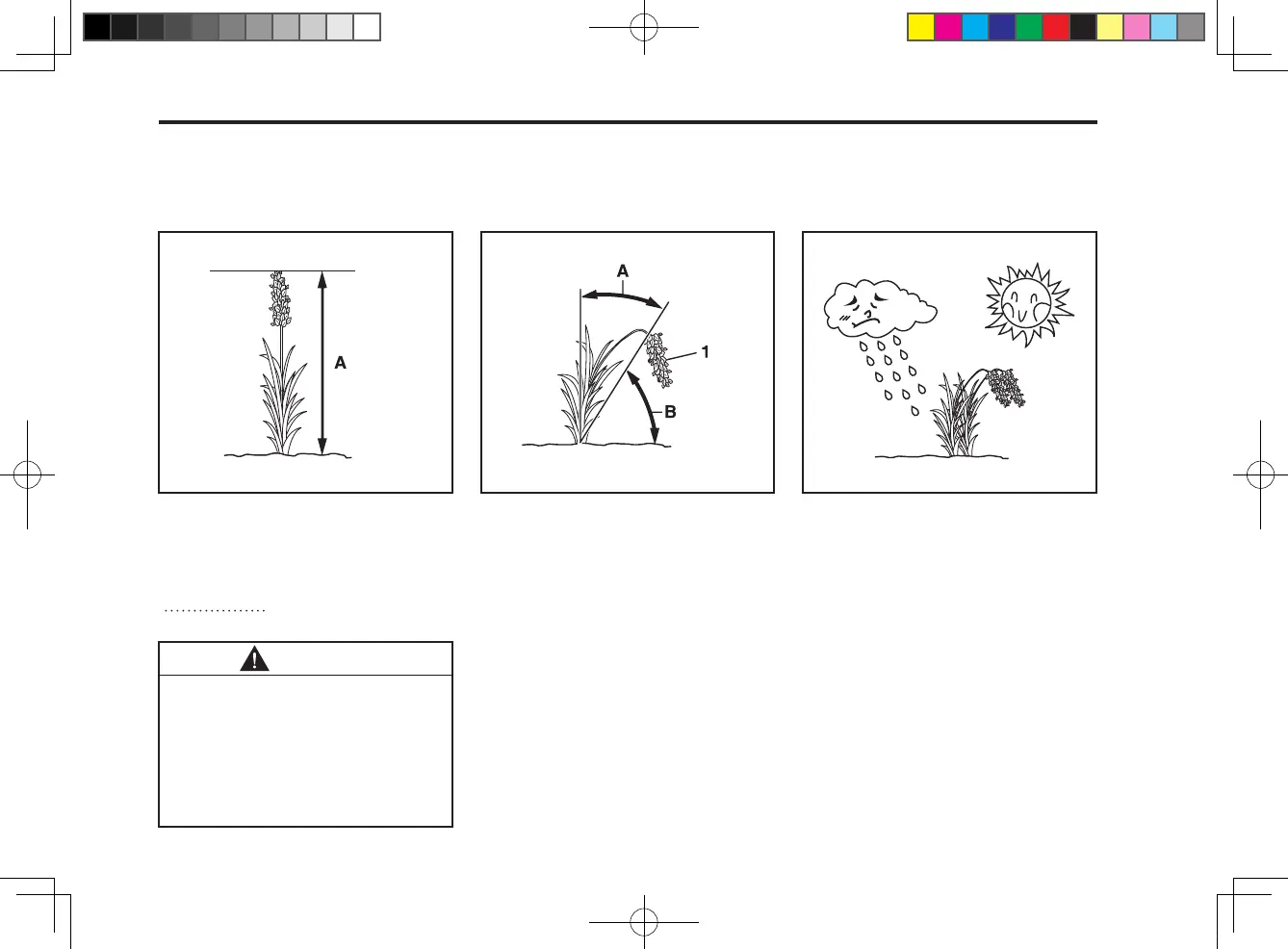Page #78 background image