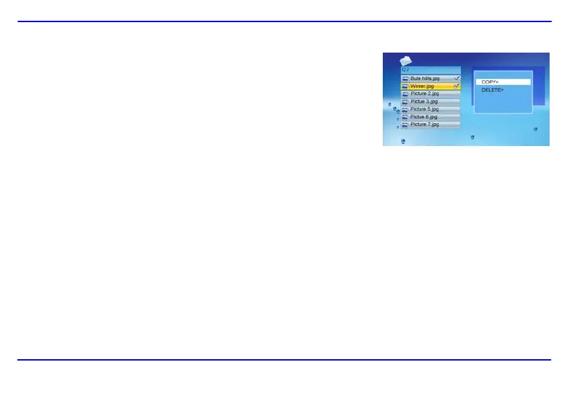 Page #219 background image
