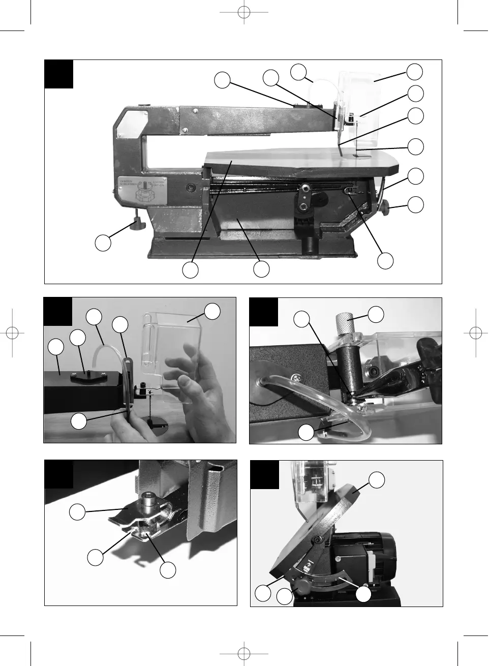 Page #3 background image