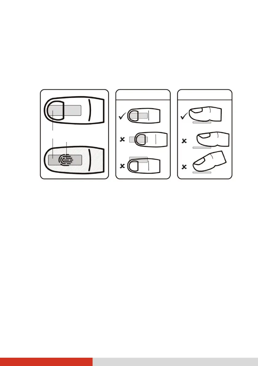 Page #43 background image