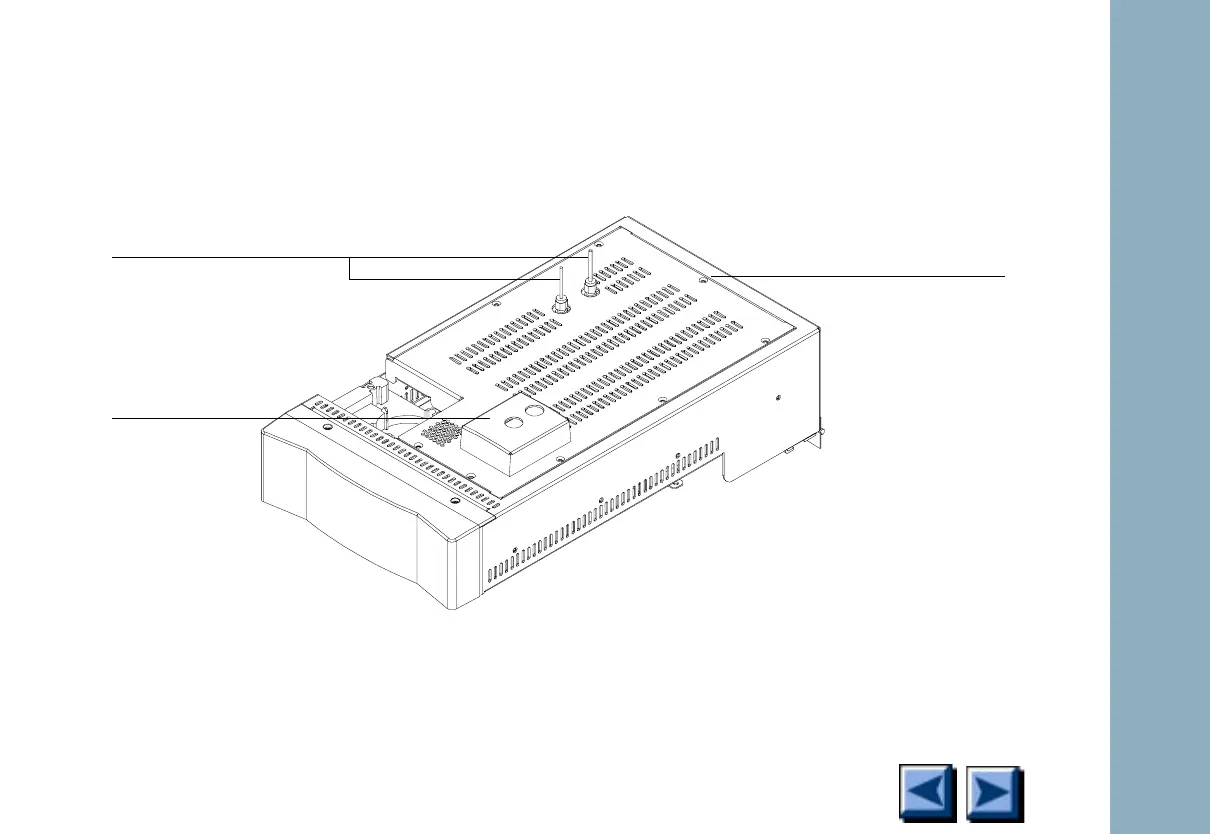 Page #23 background image
