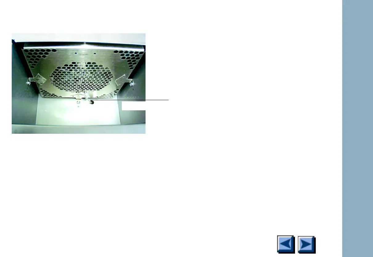 Page #218 background image