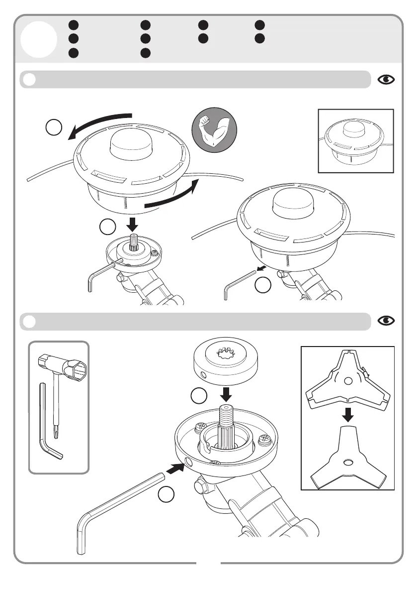 Page #8 background image