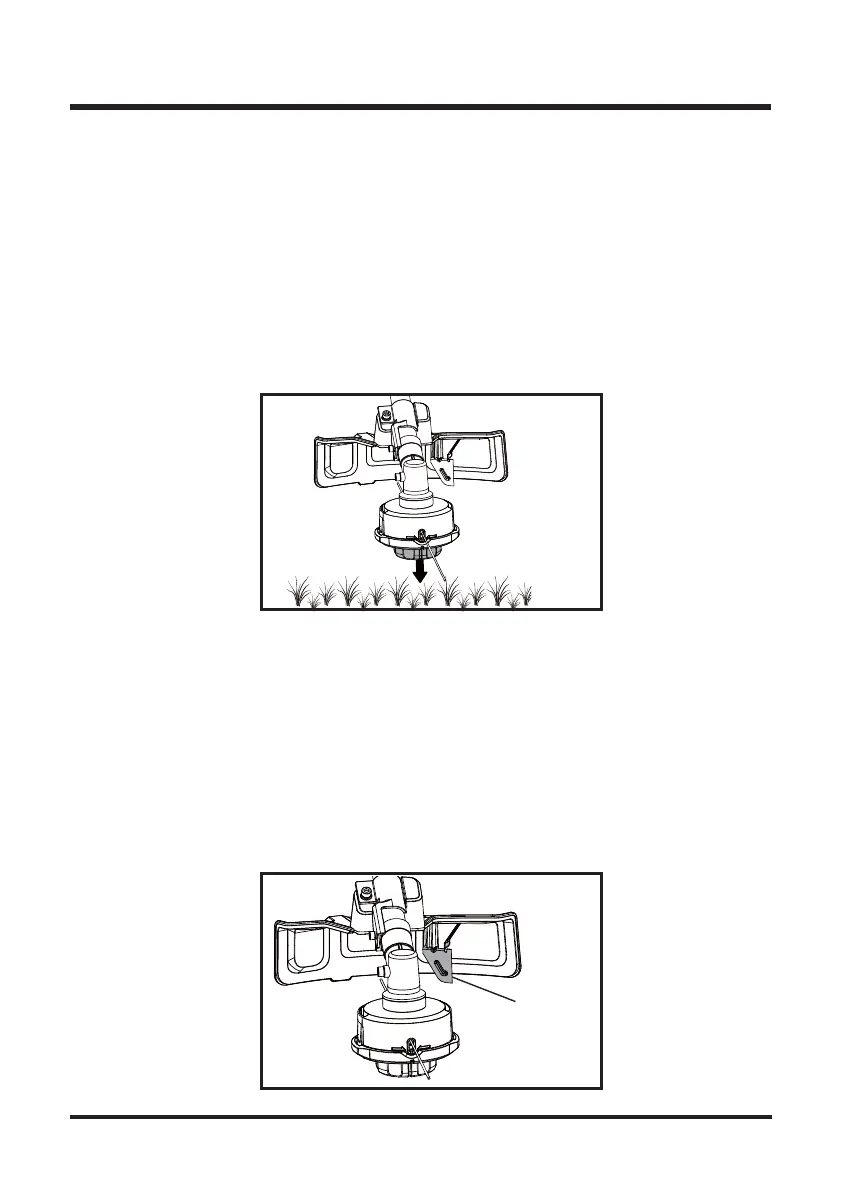 Page #22 background image