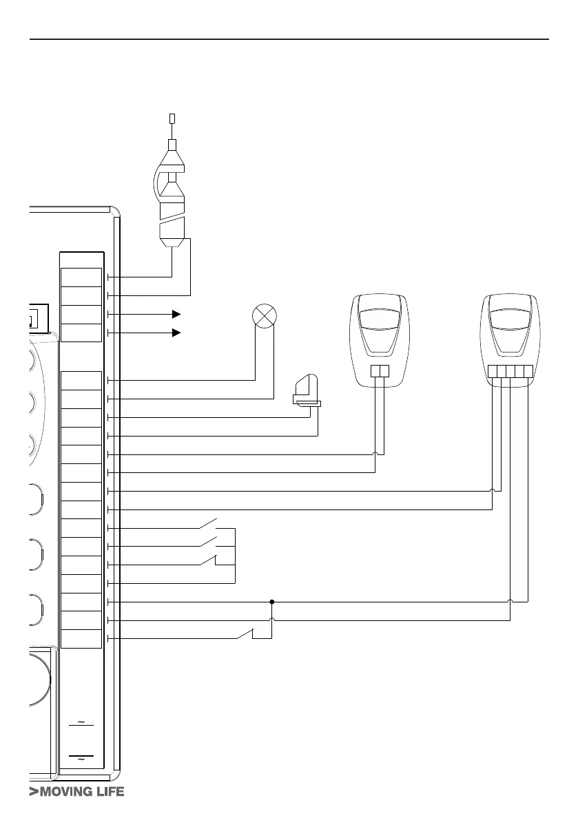 Page #3 background image