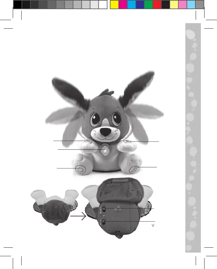 Page #2 background image